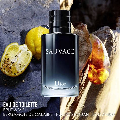 preservativo dior|dior sauvage eau de toilette.